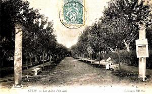 Setif - Allees d'Orleans